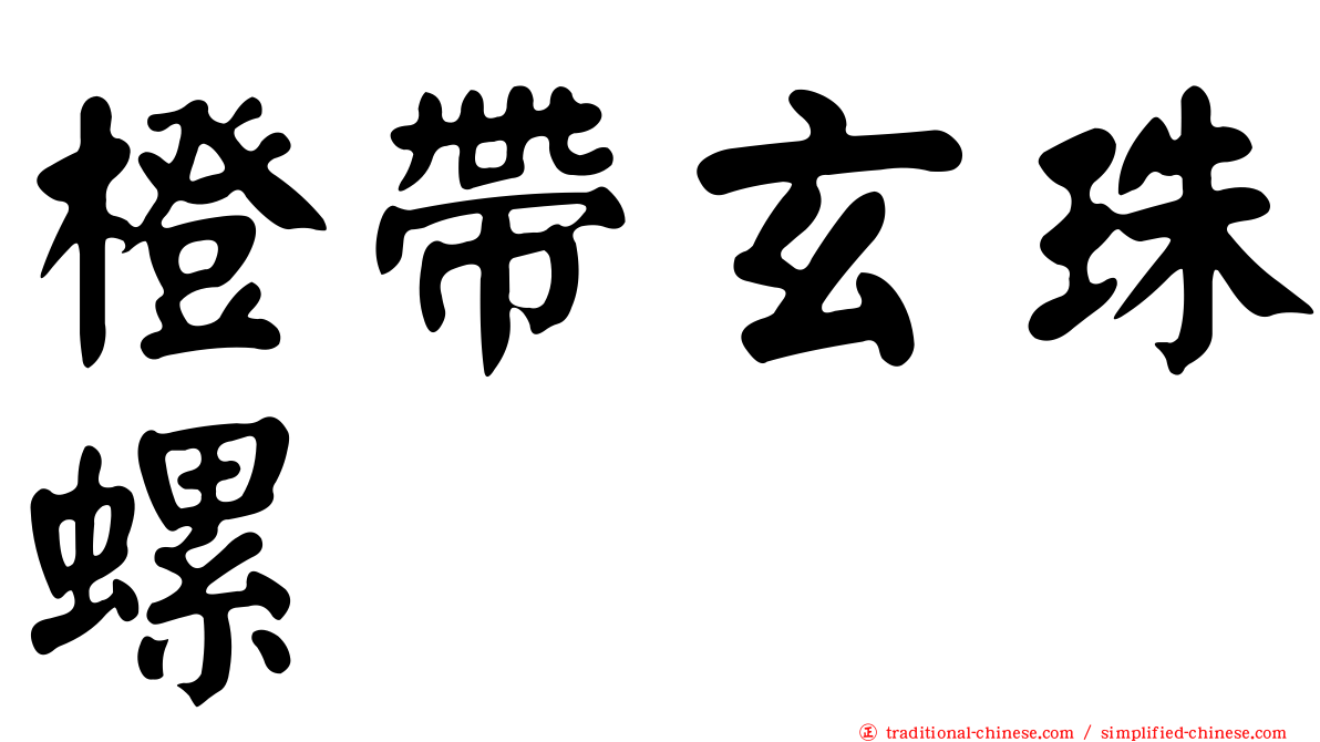 橙帶玄珠螺