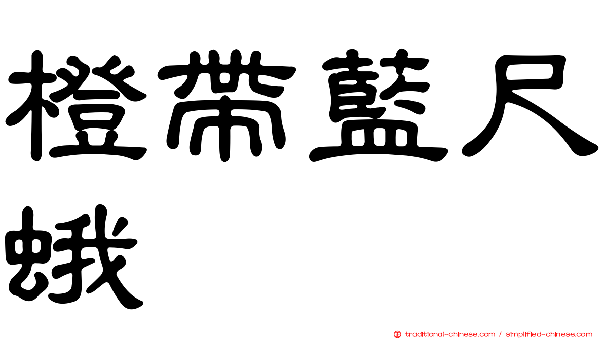 橙帶藍尺蛾