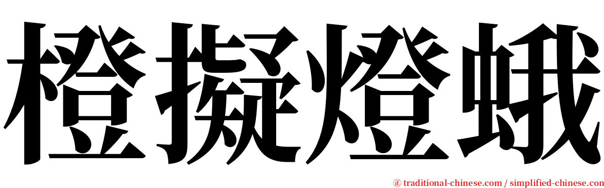 橙擬燈蛾 serif font