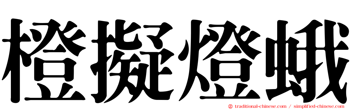 橙擬燈蛾