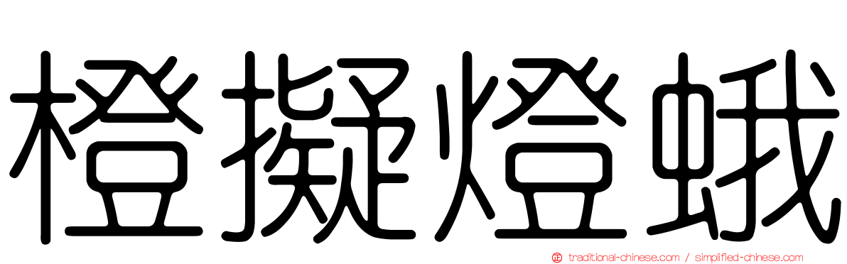 橙擬燈蛾