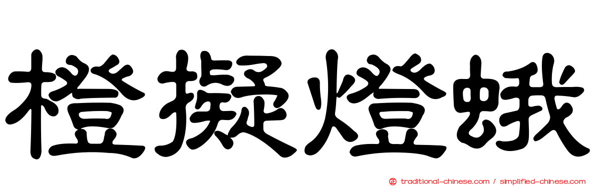 橙擬燈蛾