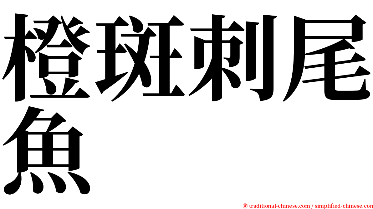 橙斑刺尾魚 serif font