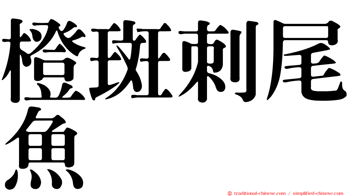 橙斑刺尾魚