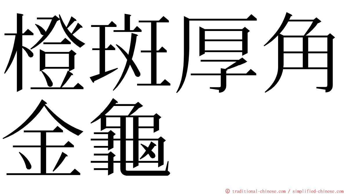 橙斑厚角金龜 ming font