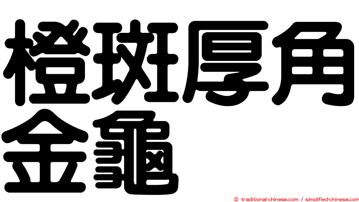 橙斑厚角金龜