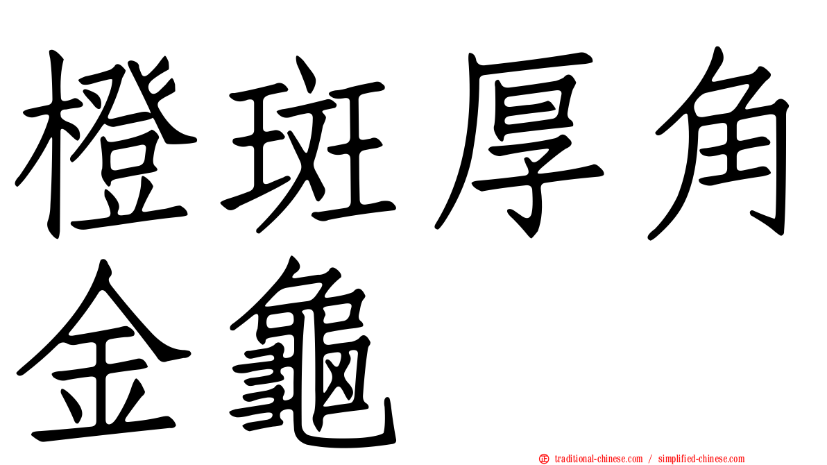 橙斑厚角金龜