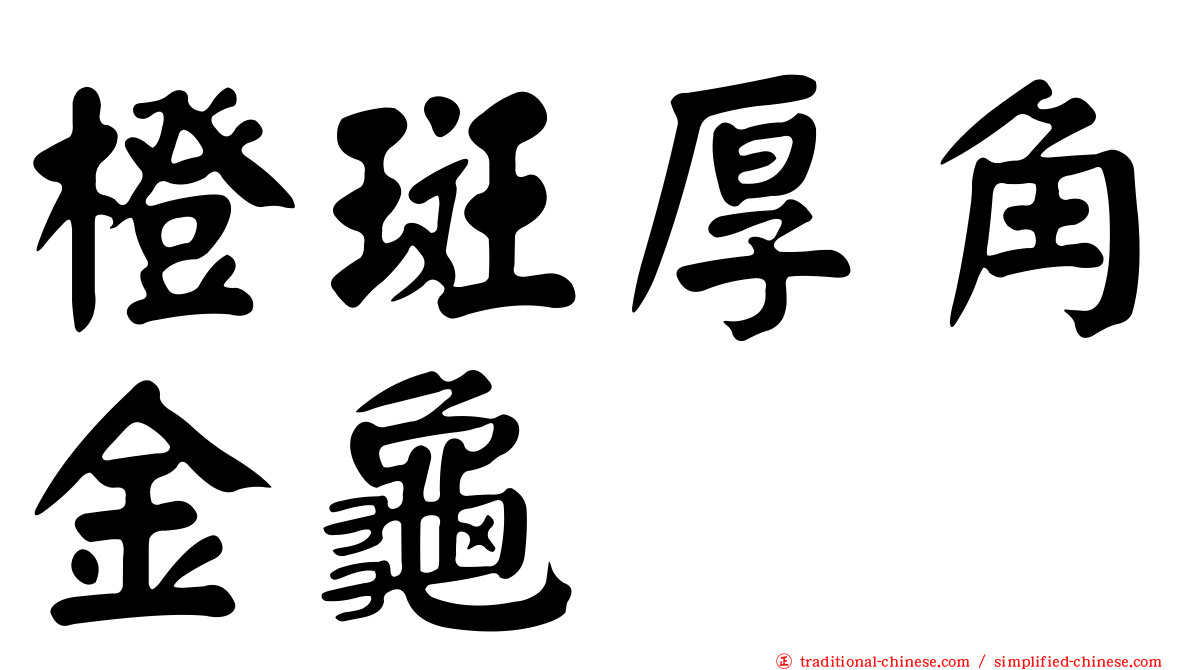 橙斑厚角金龜