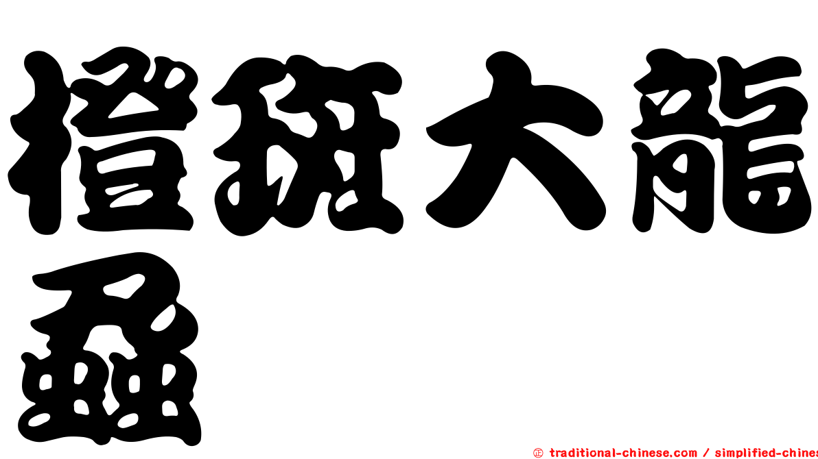 橙斑大龍蝨