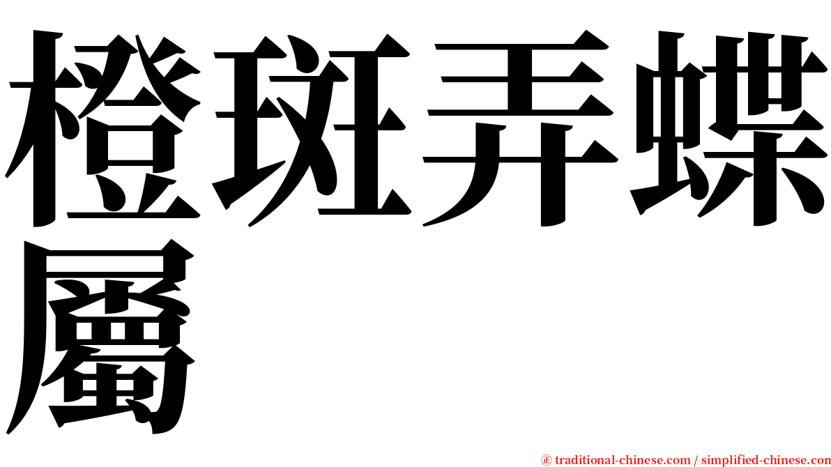 橙斑弄蝶屬 serif font