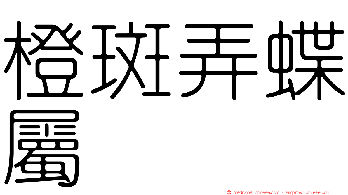 橙斑弄蝶屬