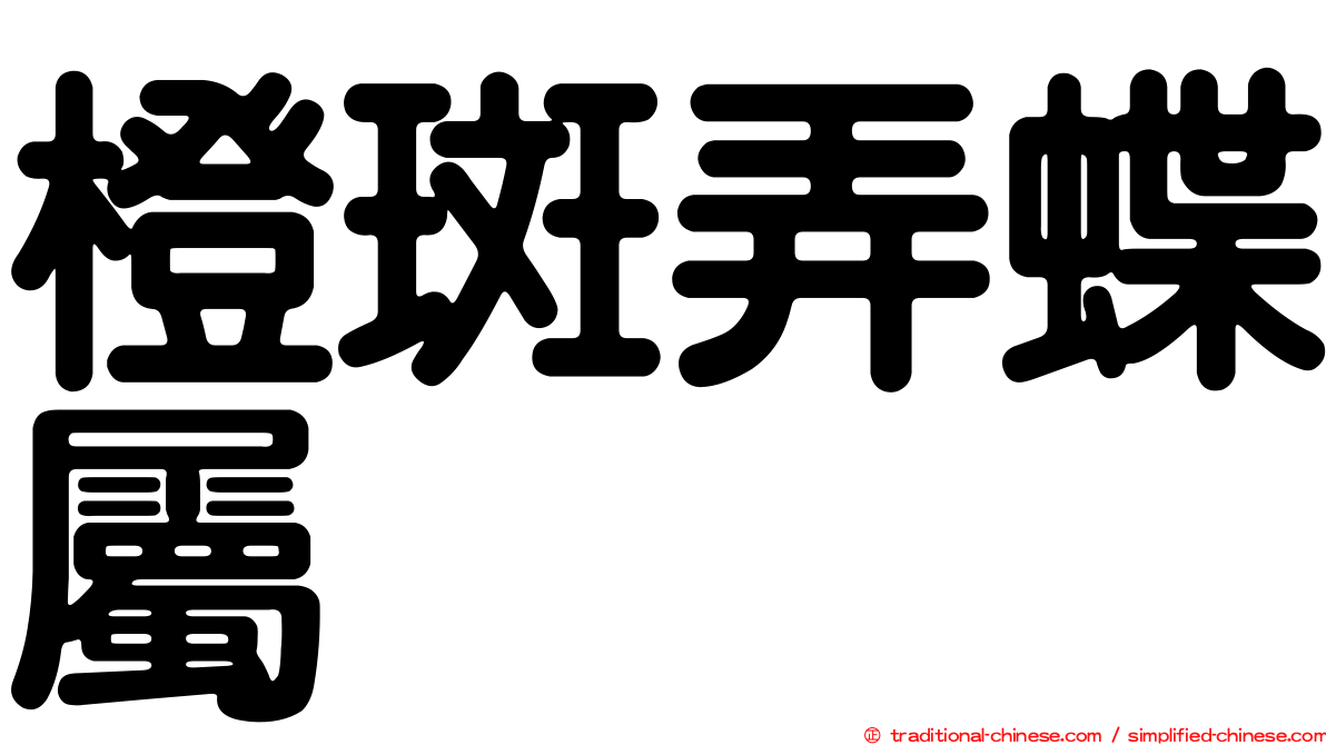 橙斑弄蝶屬