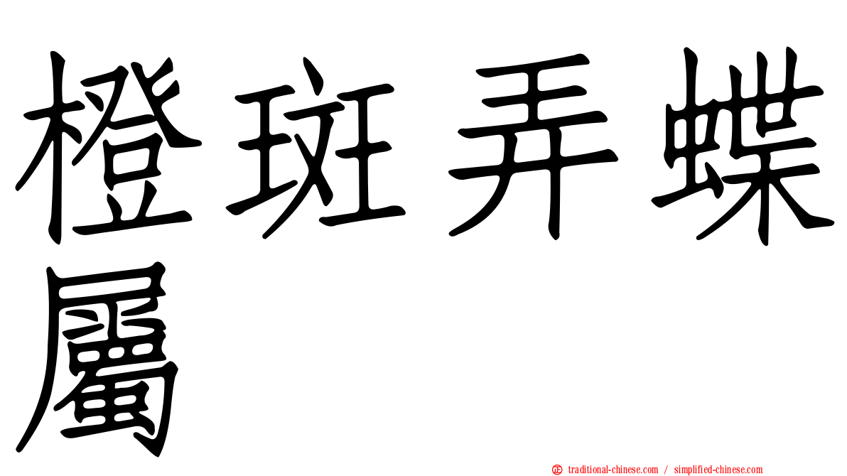 橙斑弄蝶屬