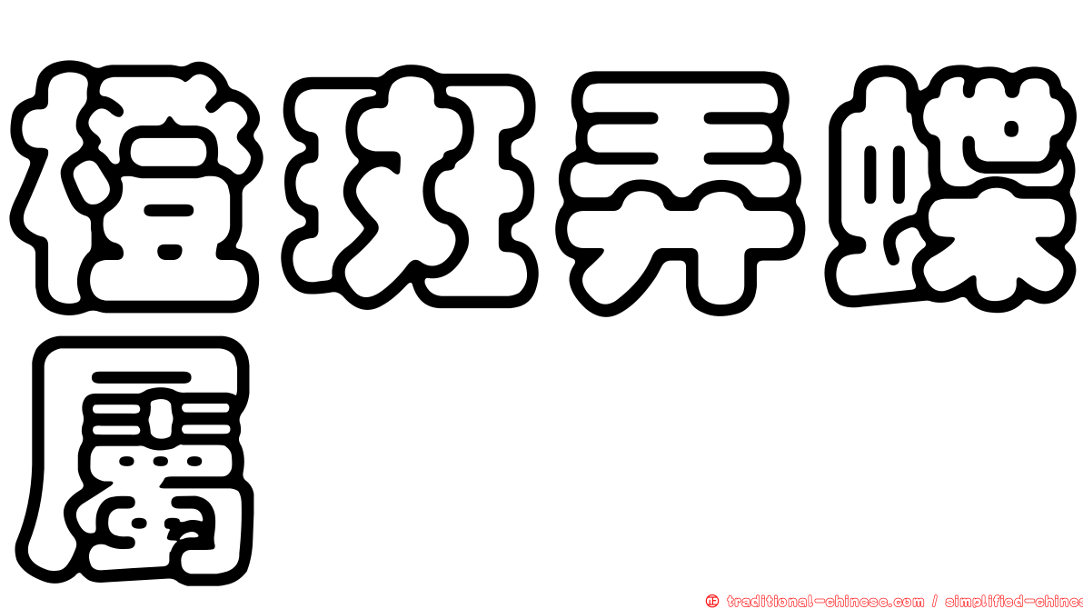 橙斑弄蝶屬