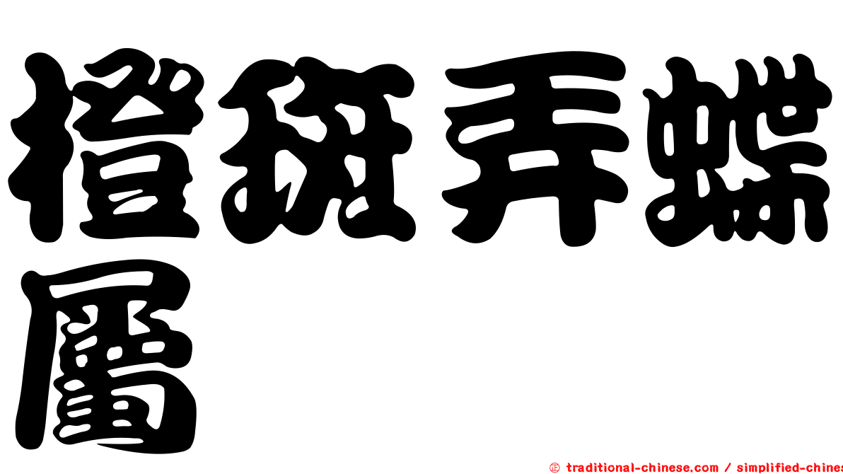 橙斑弄蝶屬