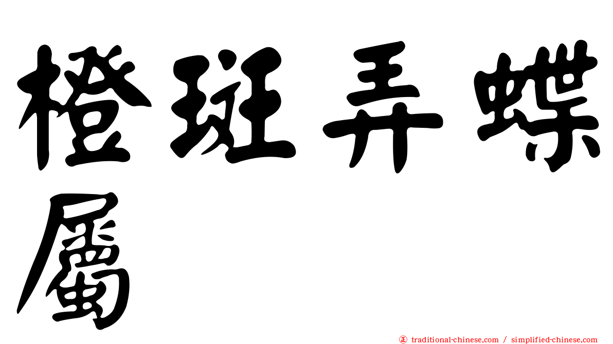 橙斑弄蝶屬
