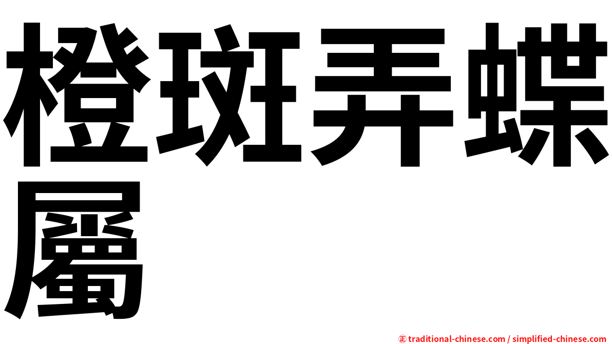 橙斑弄蝶屬