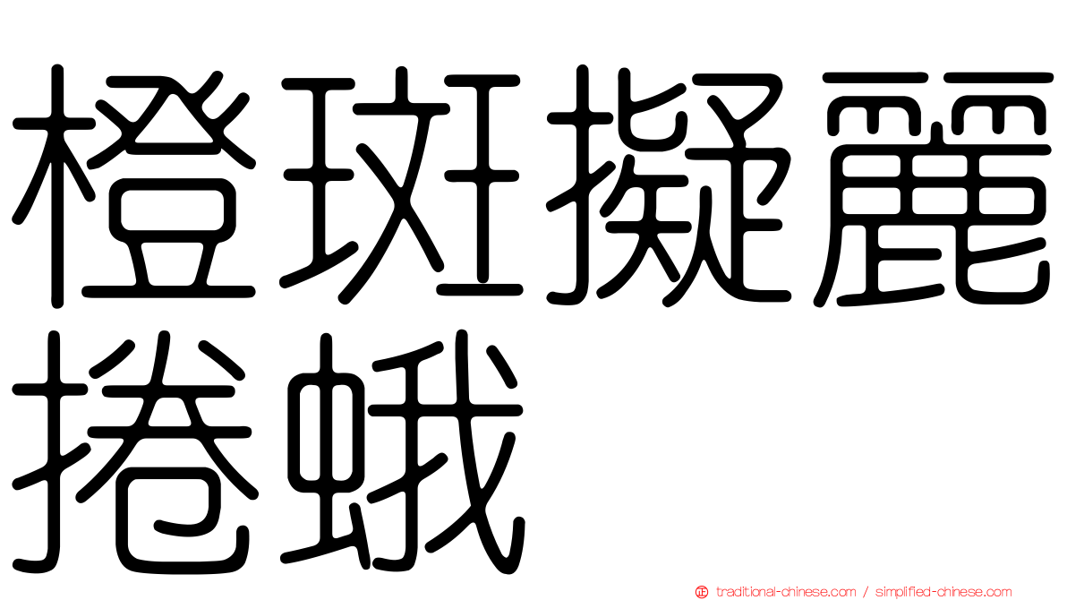橙斑擬麗捲蛾