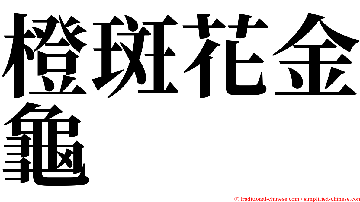 橙斑花金龜 serif font