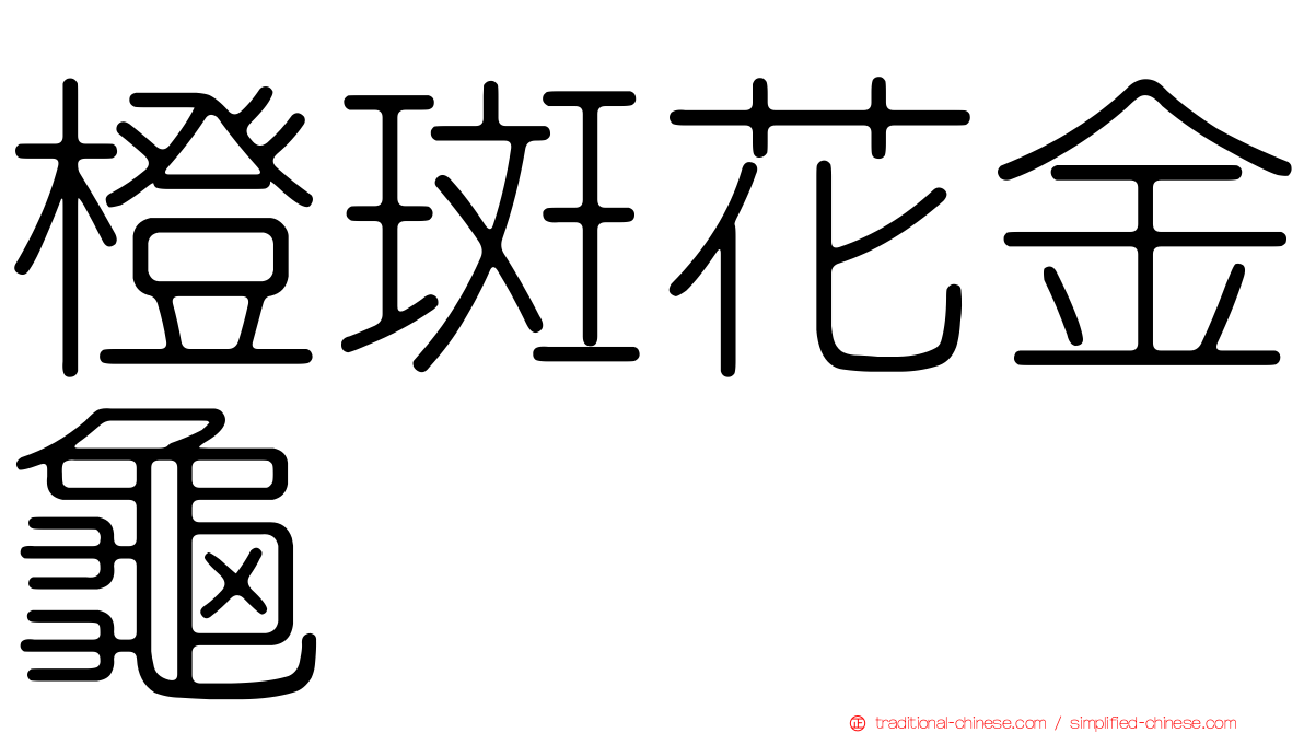 橙斑花金龜