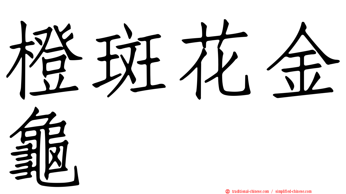 橙斑花金龜
