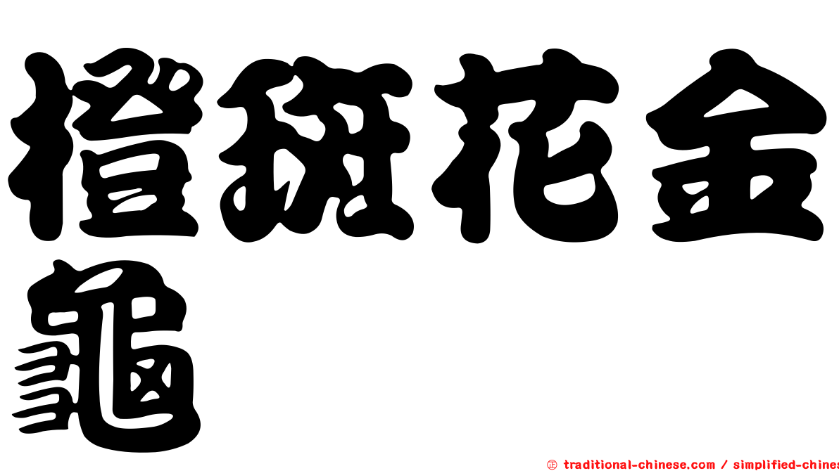 橙斑花金龜