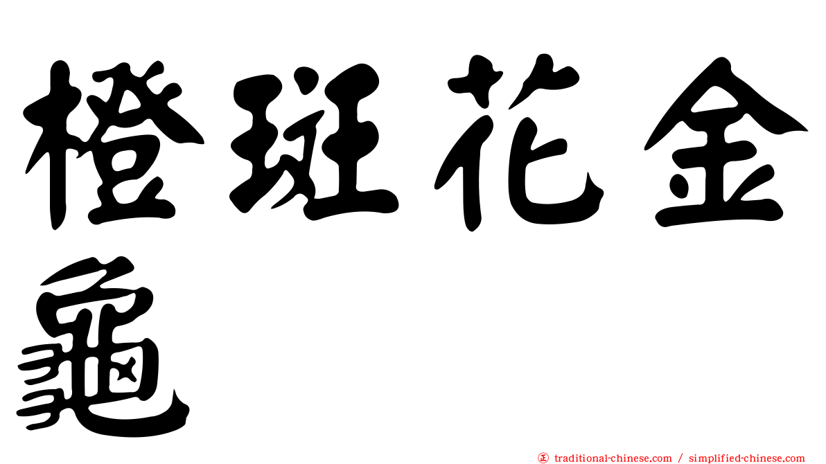 橙斑花金龜
