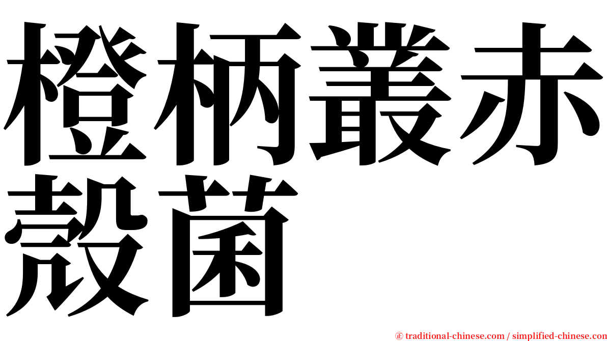 橙柄叢赤殼菌 serif font
