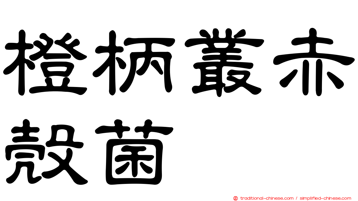 橙柄叢赤殼菌
