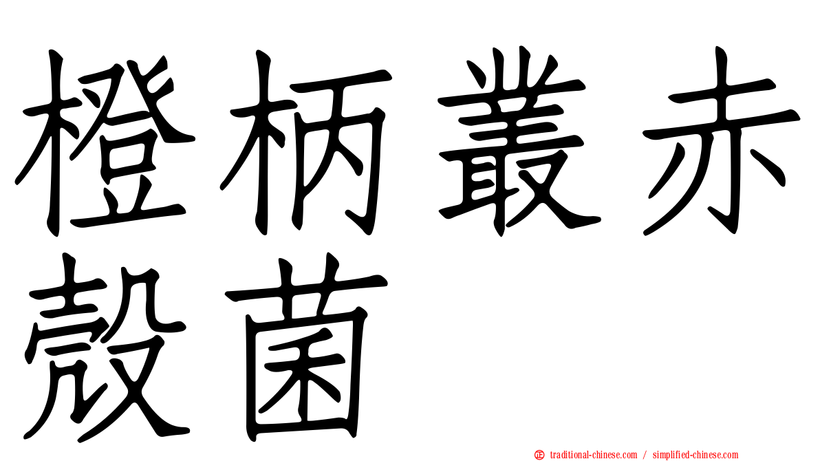 橙柄叢赤殼菌
