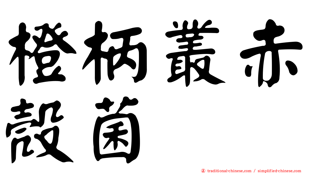 橙柄叢赤殼菌
