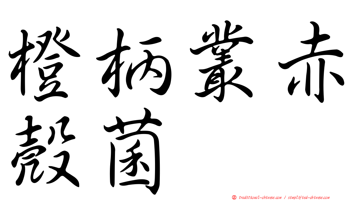 橙柄叢赤殼菌