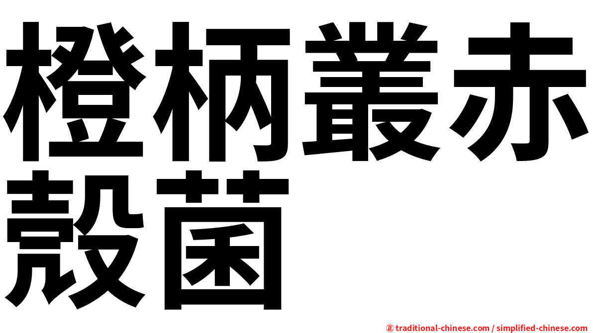 橙柄叢赤殼菌