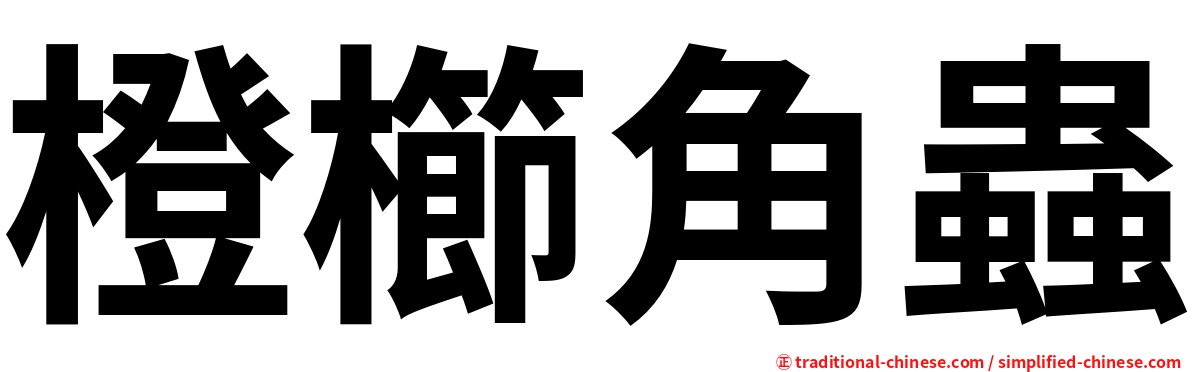 橙櫛角蟲