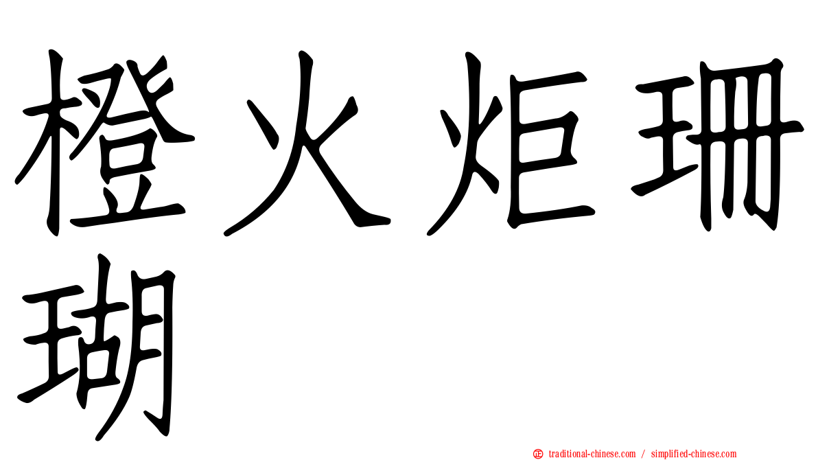 橙火炬珊瑚