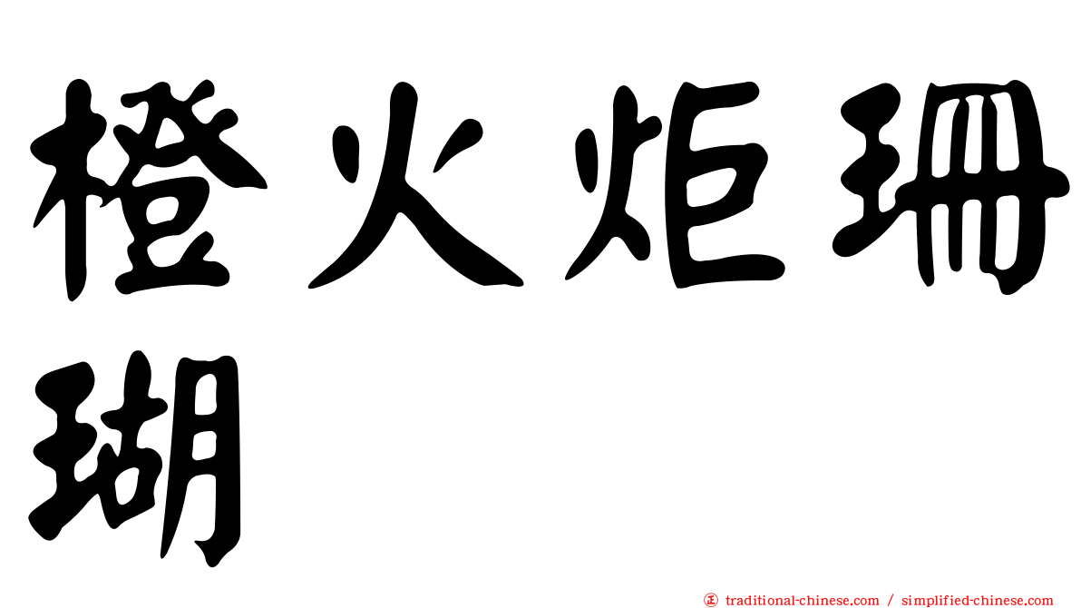橙火炬珊瑚