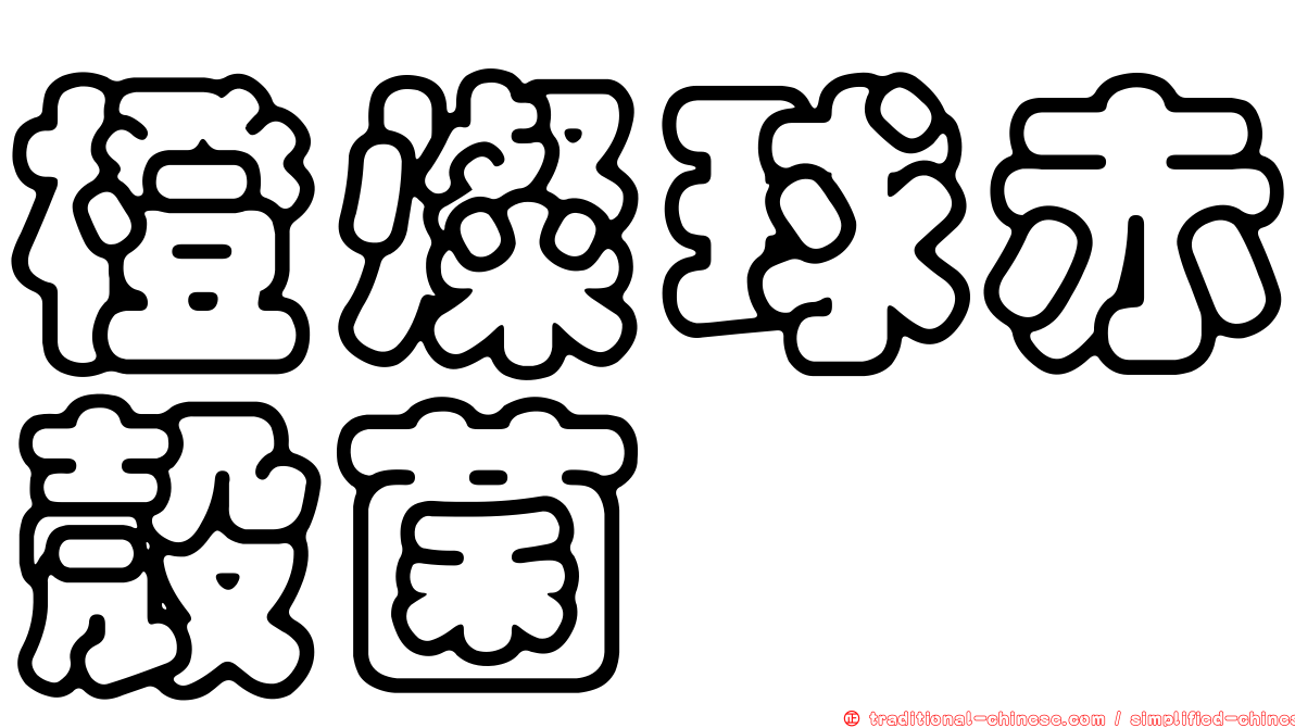 橙燦球赤殼菌