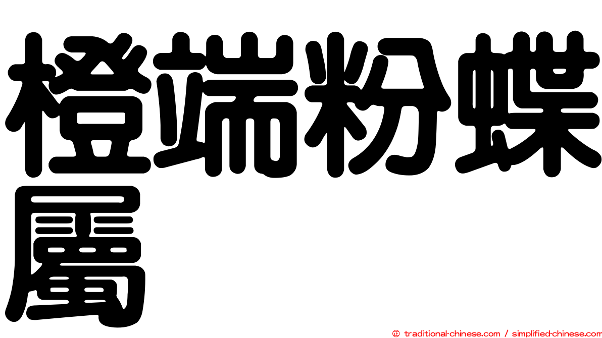 橙端粉蝶屬