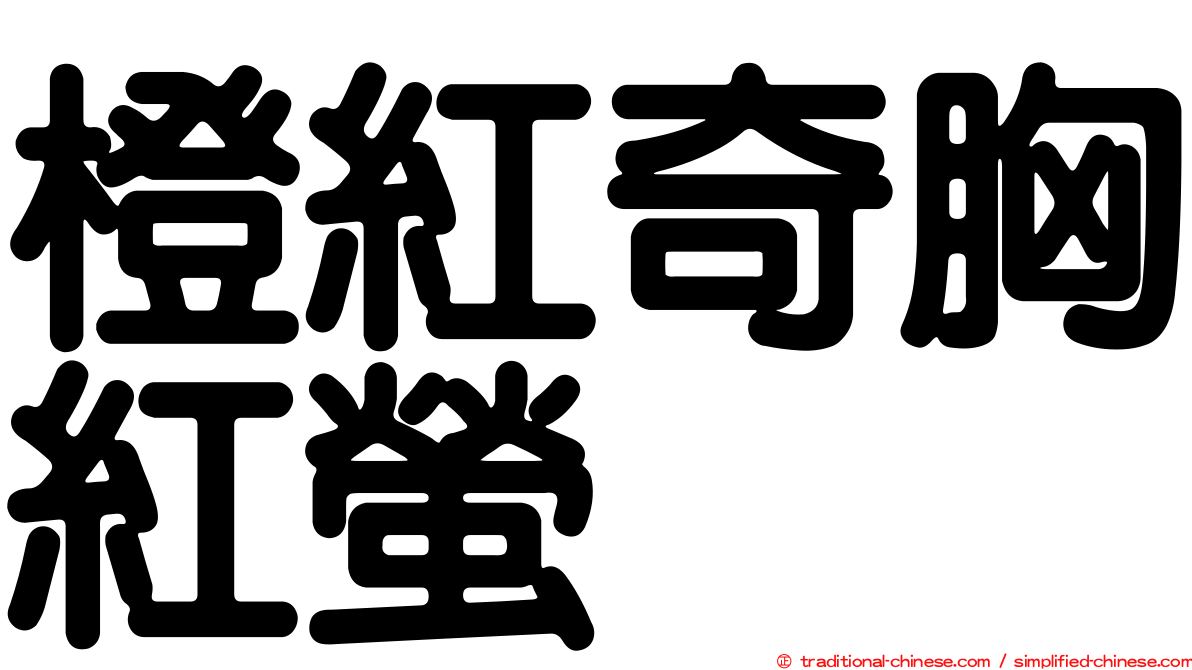 橙紅奇胸紅螢