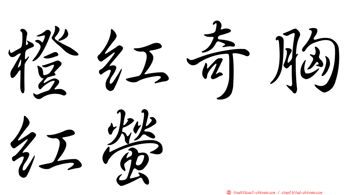 橙紅奇胸紅螢