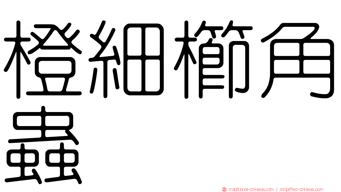 橙細櫛角蟲