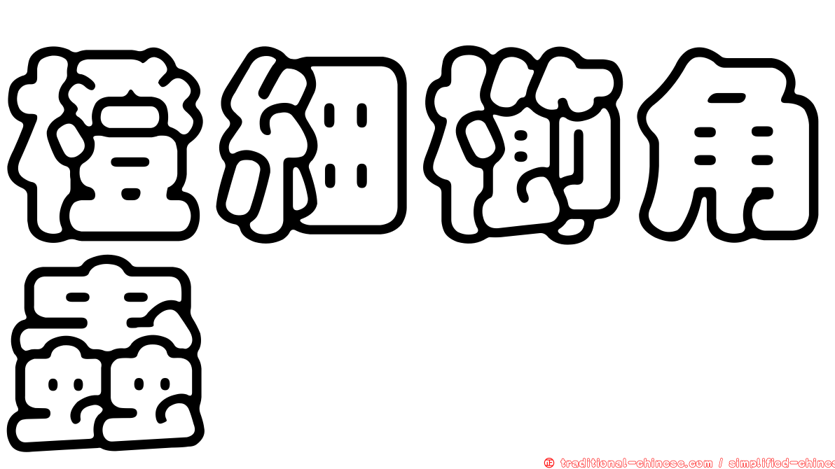 橙細櫛角蟲