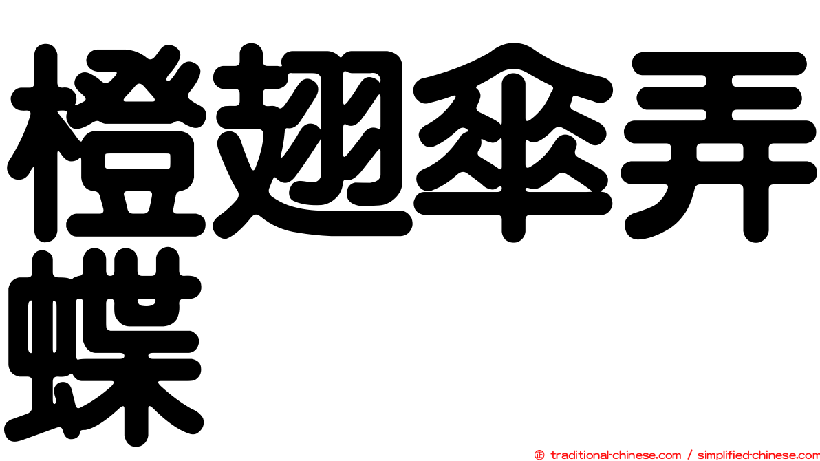 橙翅傘弄蝶