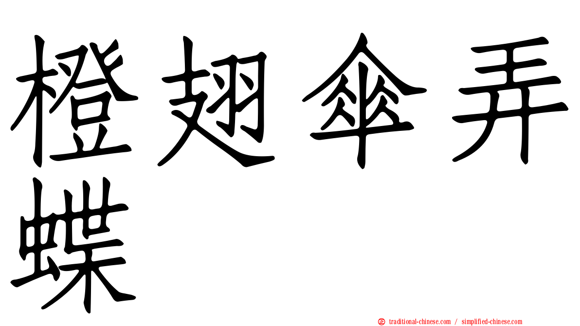 橙翅傘弄蝶