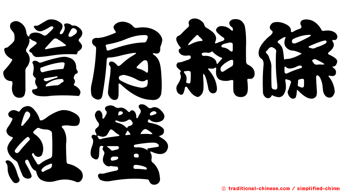 橙肩斜條紅螢