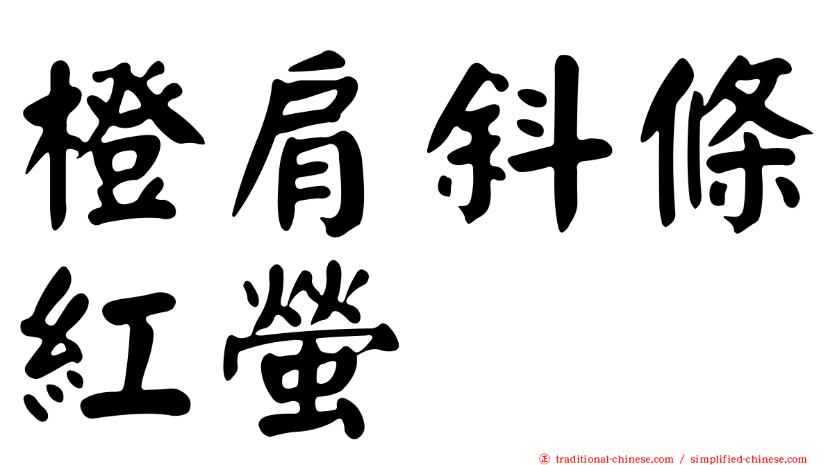 橙肩斜條紅螢