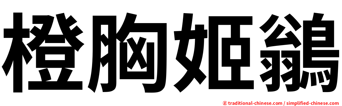 橙胸姬鶲