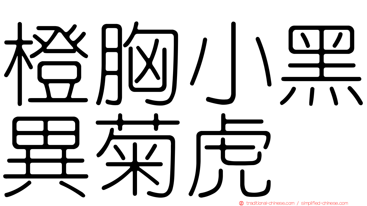 橙胸小黑異菊虎