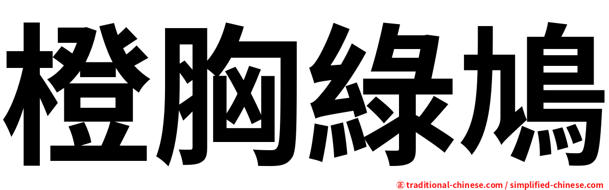 橙胸綠鳩