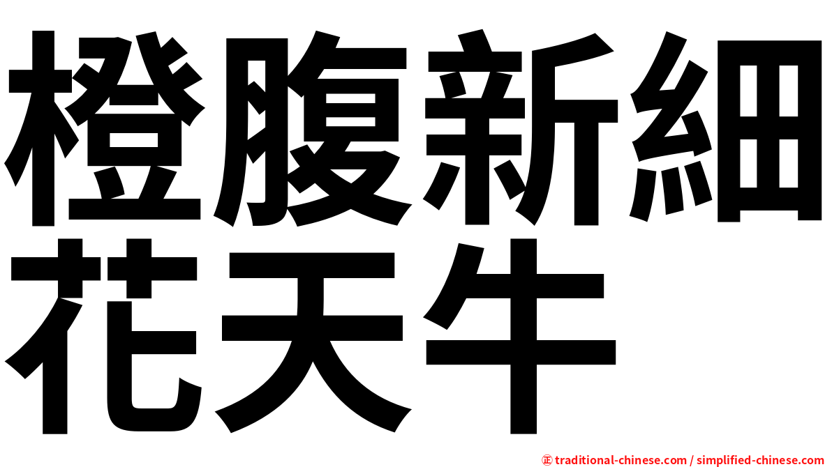 橙腹新細花天牛